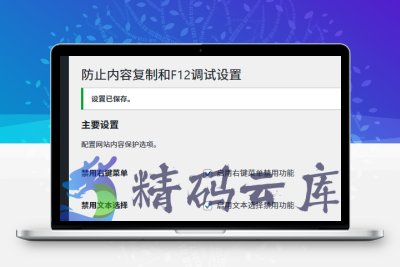 能够防止内容被复制以及禁止 F12 调试的 WordPress 插件
